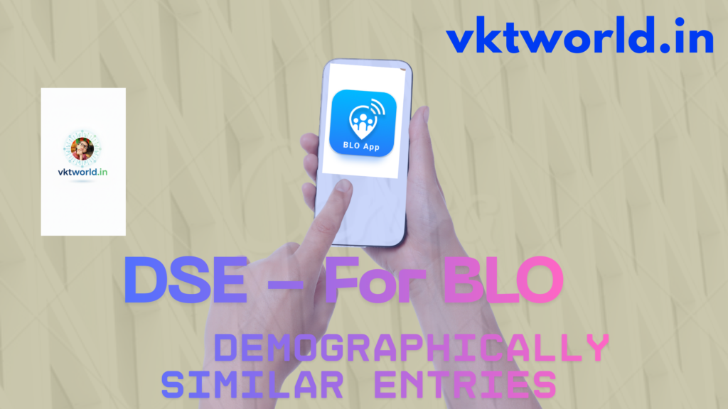 DSE - Demographic Similar Entries